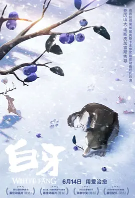 青青在线视频免费看观看